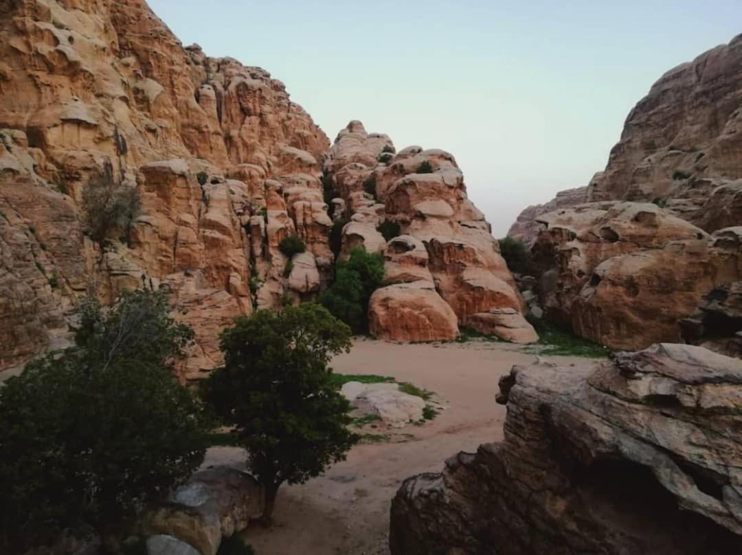 Euphoria Bed & Breakfast Wadi Musa Exteriér fotografie